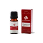Cedarwood Atlas (Cedrus Atlantica) 100% Pure Essential Oil 12mL